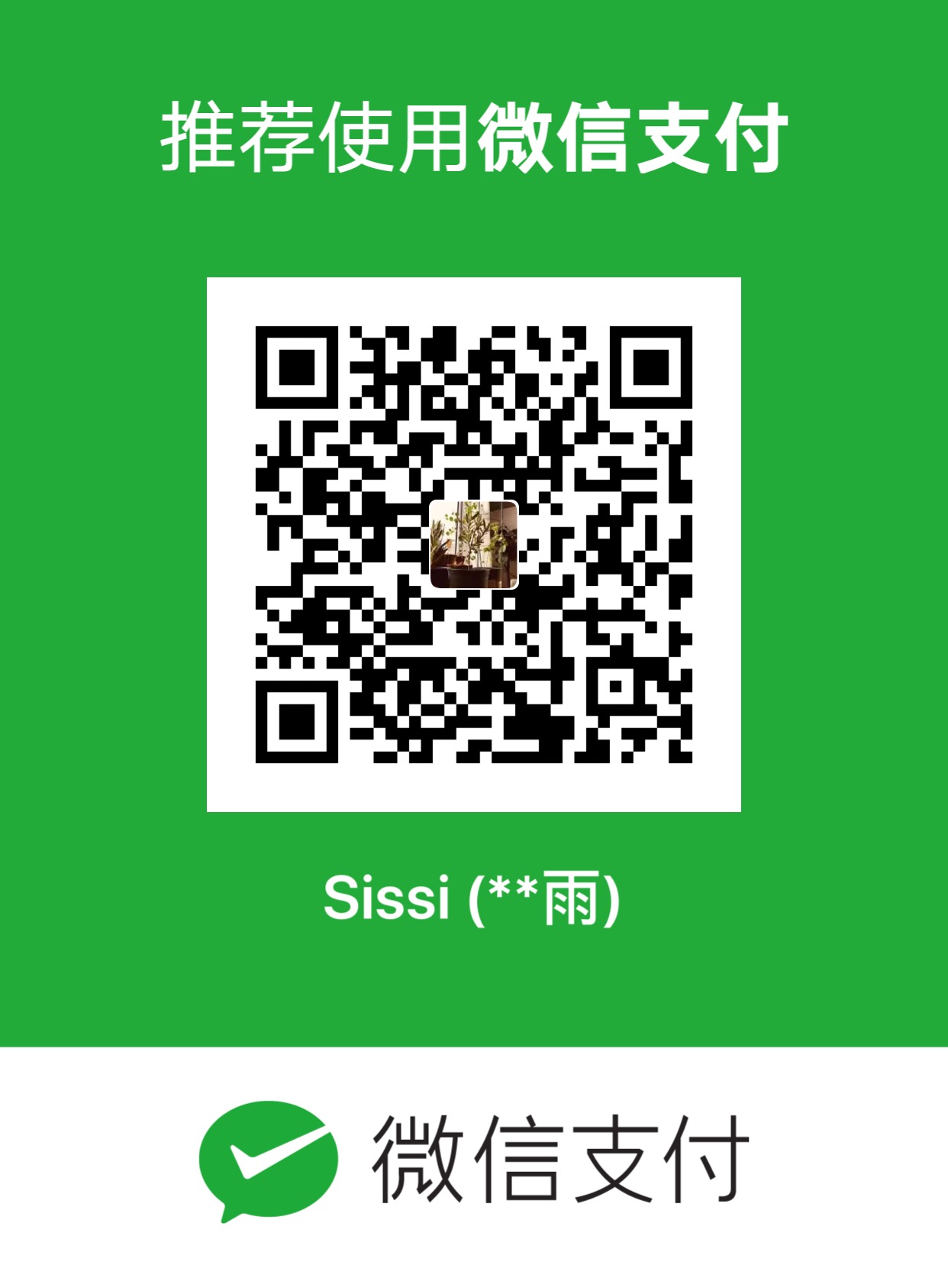 Sissioy 微信支付